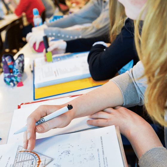Onderwijsvak Nederlands niet-thuistaal leerlingen